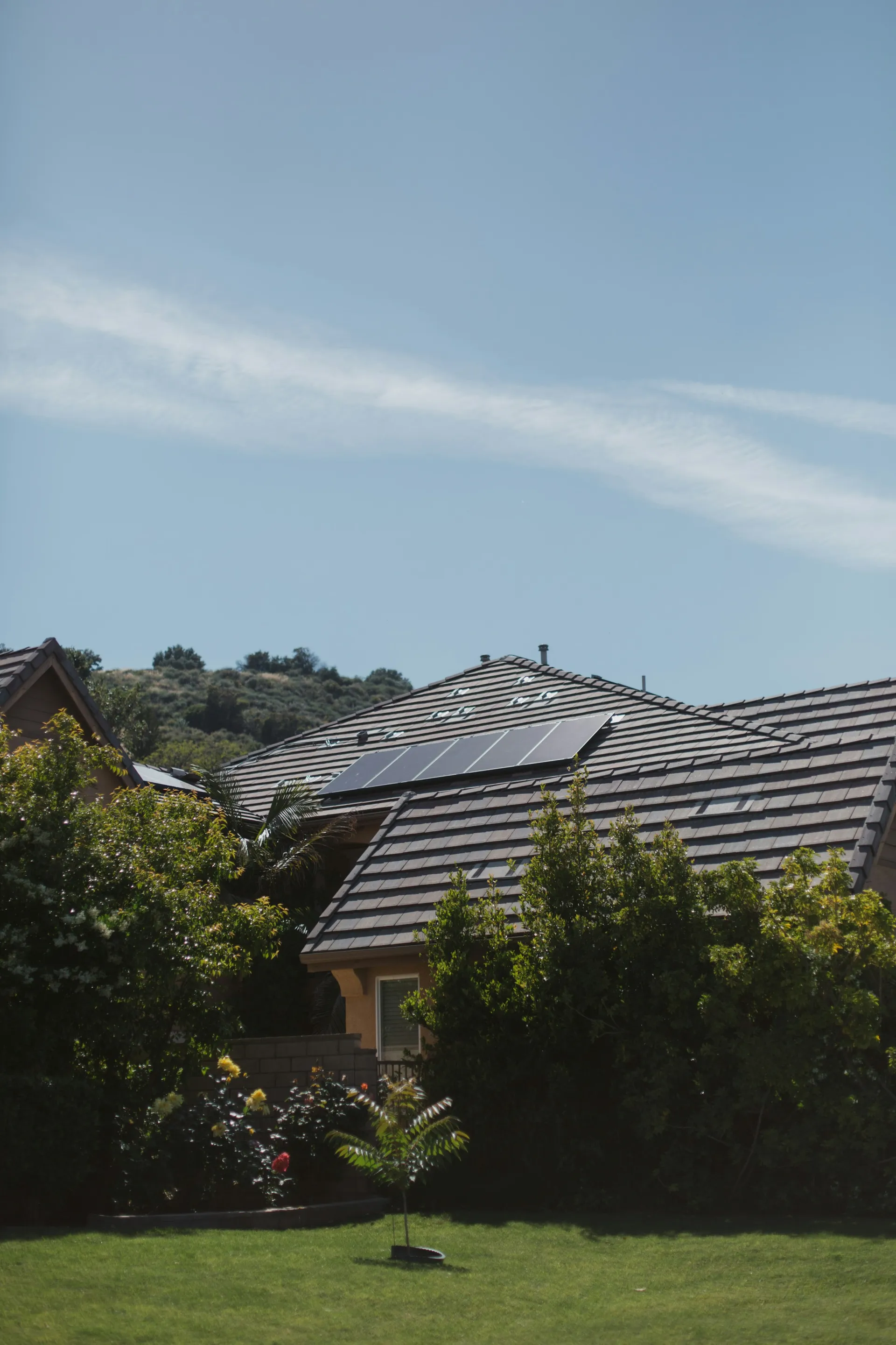 House and tree under a clear sky