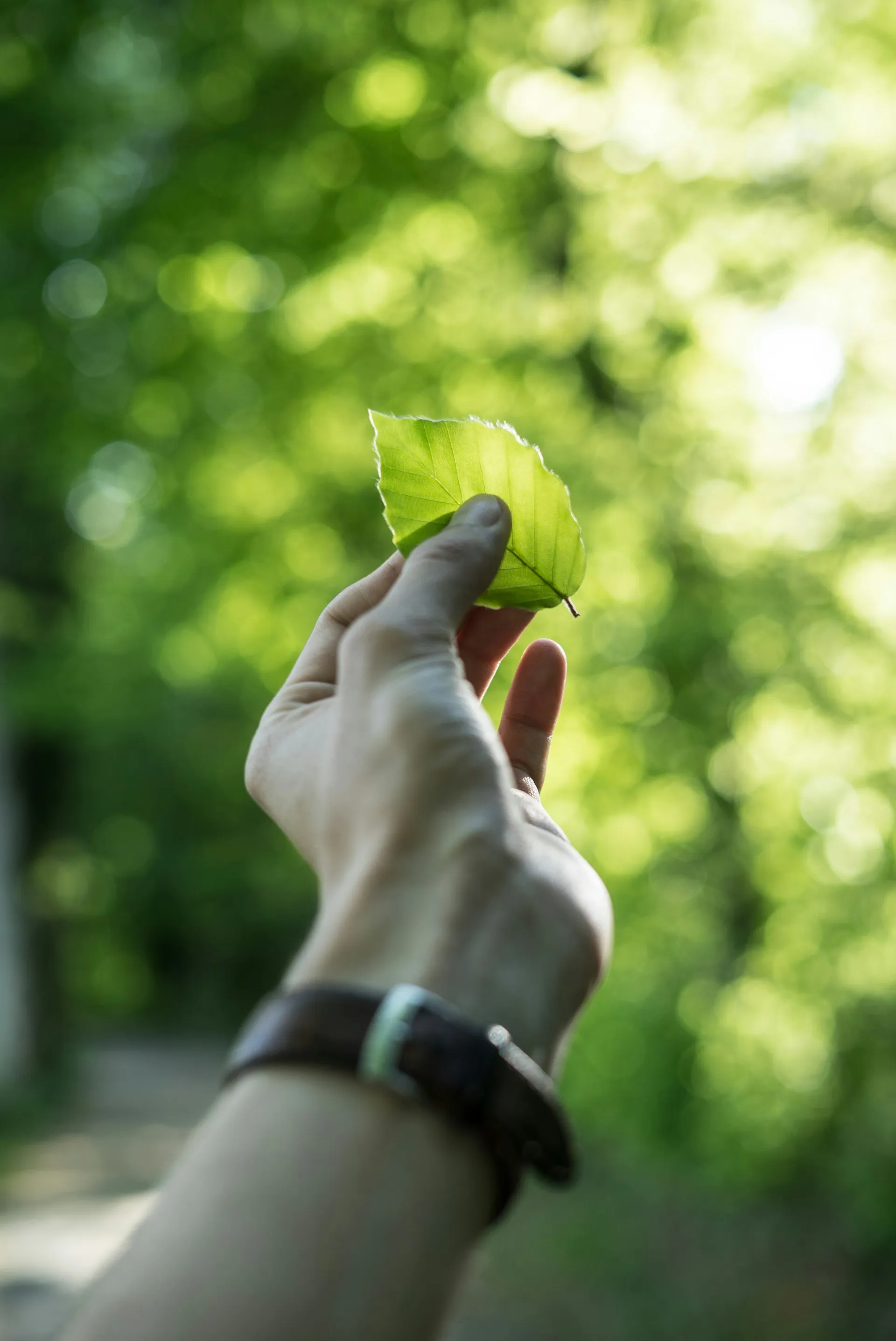 Green landscape representing sustainability